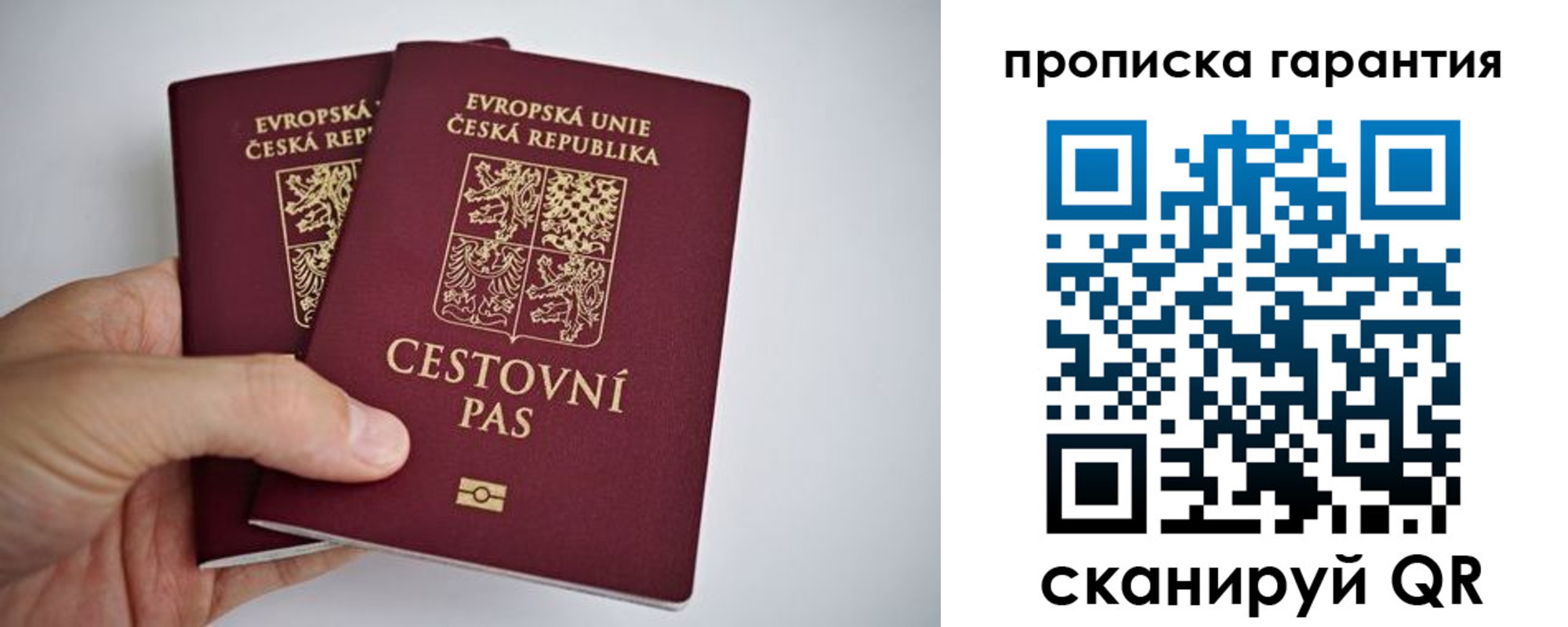 прописка в Боготоле